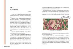 漫畫．圖解「被消失」的藝術史：花朵、毛毛蟲和疼痛也能成為創作主題！23位女藝術家挑戰時代與風格限制，讓藝術的面貌更豐富完整 圖片 3