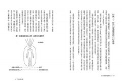 慧眼視心靈【暢銷經典・大開本新序版】：覺察靈魂創傷，結合印度脈輪、基督教聖禮、卡巴拉生命之樹的心靈自癒之旅 圖片 3