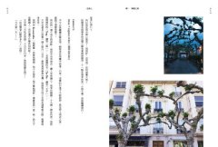 藏翅膀的人：一個旅行信仰者的朝聖之路 圖片 5