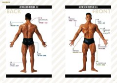 細節無敵多的超強練肌圖鑑：南瓜肩、鬼背，打造體想體態不盲練，體大教授＋健美金牌選手不藏私的188個訓練動作全剖析 圖片 3