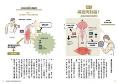 細節無敵多的超強練肌圖鑑：南瓜肩、鬼背，打造體想體態不盲練，體大教授＋健美金牌選手不藏私的188個訓練動作全剖析 圖片 6