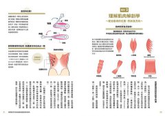 細節無敵多的超強練肌圖鑑：南瓜肩、鬼背，打造體想體態不盲練，體大教授＋健美金牌選手不藏私的188個訓練動作全剖析 圖片 7