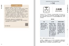 星際馬雅13月亮曆【暢銷全新增修版】：在13調性x20圖騰中喚醒天賦力量，循著波符在生命之河中調頻順流，活出真實自我 圖片 3