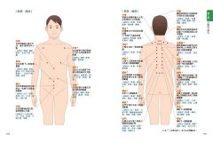 中醫超圖解(新裝版)：認識中醫的第一本書，陰陽五行、氣血津液、四診八綱、漢方用藥、經絡養生一次就懂 圖片 13