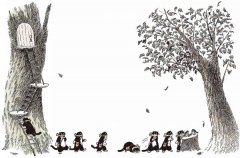 賓士貓的森林冒險【幻彩透明特殊包裝】 圖片 5