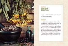 現代藥草調製指南：藥草師必備的居家調配聖經，包括草藥配方原理、製劑原則及230種藥草檔案 圖片 2