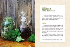 現代藥草調製指南：藥草師必備的居家調配聖經，包括草藥配方原理、製劑原則及230種藥草檔案 圖片 11