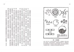 憂鬱與發炎的大腦：改善憂鬱症狀，從平衡免疫系統，降低發炎開始 圖片 5