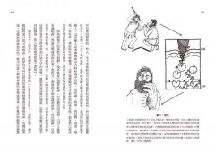 憂鬱與發炎的大腦：改善憂鬱症狀，從平衡免疫系統，降低發炎開始 圖片 6