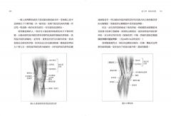 疼痛、復健與肌力訓練全書（二版）：亞斯診療法教你一次只練一塊肌肉，揮別惱人代償問題，讓真正需要鍛鍊的肌肉變強壯！ 圖片 10