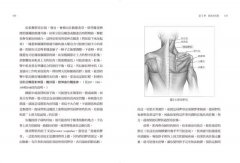 疼痛、復健與肌力訓練全書（二版）：亞斯診療法教你一次只練一塊肌肉，揮別惱人代償問題，讓真正需要鍛鍊的肌肉變強壯！ 圖片 11