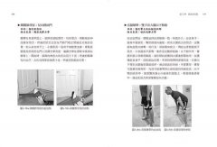 疼痛、復健與肌力訓練全書（二版）：亞斯診療法教你一次只練一塊肌肉，揮別惱人代償問題，讓真正需要鍛鍊的肌肉變強壯！ 圖片 13