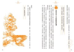 一個人的內在朝聖之路：回到你的心，366天靈魂深度療癒，迎接全新的自己 圖片 4