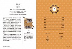 盧恩符文神諭占卜卡【第一副最完整中文化牌卡】（二版） 圖片 4