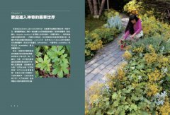美國藥草教母的草藥生活指南：瞭解、種植及使用33種廚房香料及常見植物 圖片 3