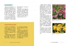 美國藥草教母的草藥生活指南：瞭解、種植及使用33種廚房香料及常見植物 圖片 5