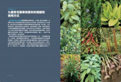 美國藥草教母的草藥生活指南：瞭解、種植及使用33種廚房香料及常見植物 圖片 7