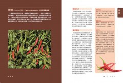 美國藥草教母的草藥生活指南：瞭解、種植及使用33種廚房香料及常見植物 圖片 8
