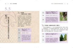 女人專科芳療全書 (暢銷經典版)：芳療天后Gina告訴你，女人一生必備的精油全配方 圖片 7