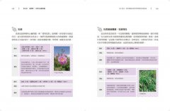 女人專科芳療全書 (暢銷經典版)：芳療天后Gina告訴你，女人一生必備的精油全配方 圖片 9