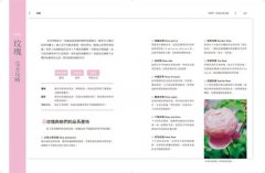 女人專科芳療全書 (暢銷經典版)：芳療天后Gina告訴你，女人一生必備的精油全配方 圖片 10