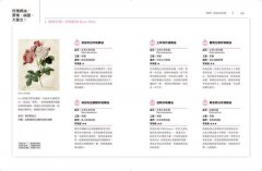 女人專科芳療全書 (暢銷經典版)：芳療天后Gina告訴你，女人一生必備的精油全配方 圖片 11