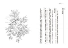 沙郡年紀（二版）：像山一樣思考，荒野詩人寫給我們的自然之歌【世紀之書・自然經典系列】 圖片 6