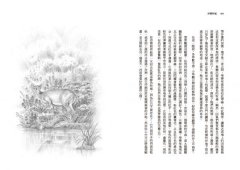 沙郡年紀（二版）：像山一樣思考，荒野詩人寫給我們的自然之歌【世紀之書・自然經典系列】 圖片 7