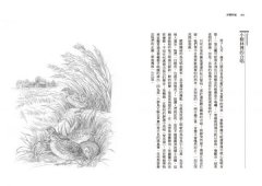 沙郡年紀（二版）：像山一樣思考，荒野詩人寫給我們的自然之歌【世紀之書・自然經典系列】 圖片 8