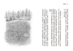 沙郡年紀（二版）：像山一樣思考，荒野詩人寫給我們的自然之歌【世紀之書・自然經典系列】 圖片 9