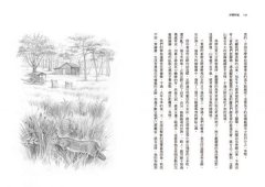 沙郡年紀（二版）：像山一樣思考，荒野詩人寫給我們的自然之歌【世紀之書・自然經典系列】 圖片 10