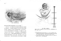 顱薦生命動力療法入門：來自生命呼吸的療癒力量 圖片 3