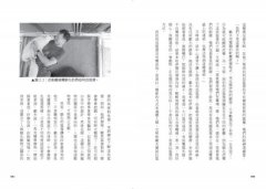 可愛無法擋！：卡哇伊文化如何連結我們的大腦並征服全世界 圖片 9