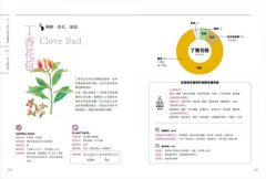 芳療天后Gina給你—全家人的芳香精油治療聖經 (暢銷經典版) ：慢性病控制、癌症復元、神經復健、呼吸防護，建立家的芳香醫藥箱，養出全家好體質 圖片 11