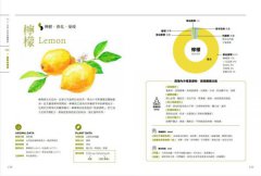 芳療天后Gina給你—全家人的芳香精油治療聖經 (暢銷經典版) ：慢性病控制、癌症復元、神經復健、呼吸防護，建立家的芳香醫藥箱，養出全家好體質 圖片 12