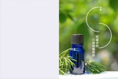 芳療天后Gina給你—全家人的芳香精油治療聖經 (暢銷經典版) ：慢性病控制、癌症復元、神經復健、呼吸防護，建立家的芳香醫藥箱，養出全家好體質 圖片 15