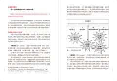 策略思考：一種稀有又精湛的心智工作原則 圖片 3