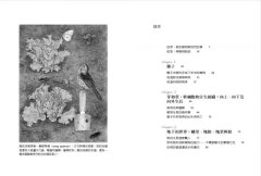花園裡的小宇宙：生物學家帶我們觀察與實驗，探索植物的祕密生活 圖片 2
