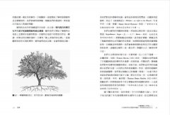 花園裡的小宇宙：生物學家帶我們觀察與實驗，探索植物的祕密生活 圖片 4