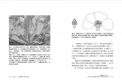 花園裡的小宇宙：生物學家帶我們觀察與實驗，探索植物的祕密生活 圖片 8