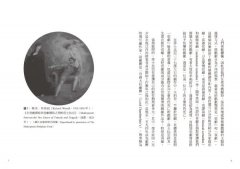 【牛津通識課25】莎士比亞悲劇：生存或毀滅，感受人類共同的難題 圖片 2