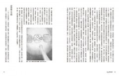 靈性揚升：宇宙正邪大戰關鍵報告（源場3） 圖片 5