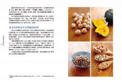 補充特定營養素的全植物蔬食料理：60道豐盛蔬食，為你打造營養均衡的美味餐桌 圖片 10