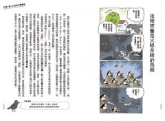 和路邊的野鳥做朋友（新裝版）：超萌四格漫畫，帶你亂入很有戲的鳥類世界 圖片 12