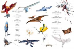 翼想天開：抵抗重力的飛行設計與大自然演化 圖片 2