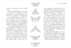 翼想天開：抵抗重力的飛行設計與大自然演化 圖片 6