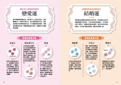 能量水晶搭配大事典：打造專屬夢想顯化手串，水晶功效、生命靈數擇石、混搭禁忌完全公開 圖片 5