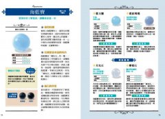 能量水晶搭配大事典：打造專屬夢想顯化手串，水晶功效、生命靈數擇石、混搭禁忌完全公開 圖片 8