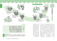 日本史超圖解：快速掌握日本最關鍵歷史事件 圖片 4