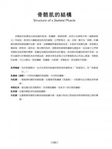 瑜伽解剖著色學習手冊：學習人體組織的醫學知識，用色鉛筆畫出正確的瑜伽動作 圖片 4
